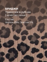 Бриджи детские трикотажные