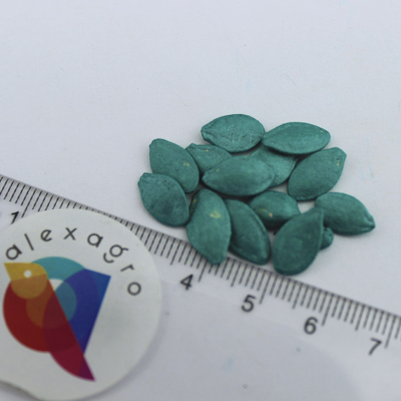 САННИ ДЕЛАЙТ F1 семена патиссона (Seminis | Alexagro) – фото 4