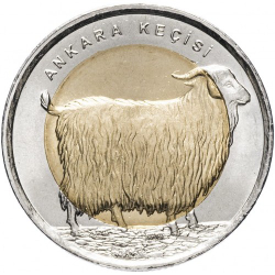 Ангорская коза