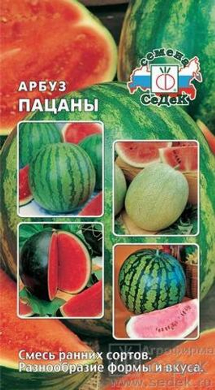 Арбуз Пацаны 1 г Седек