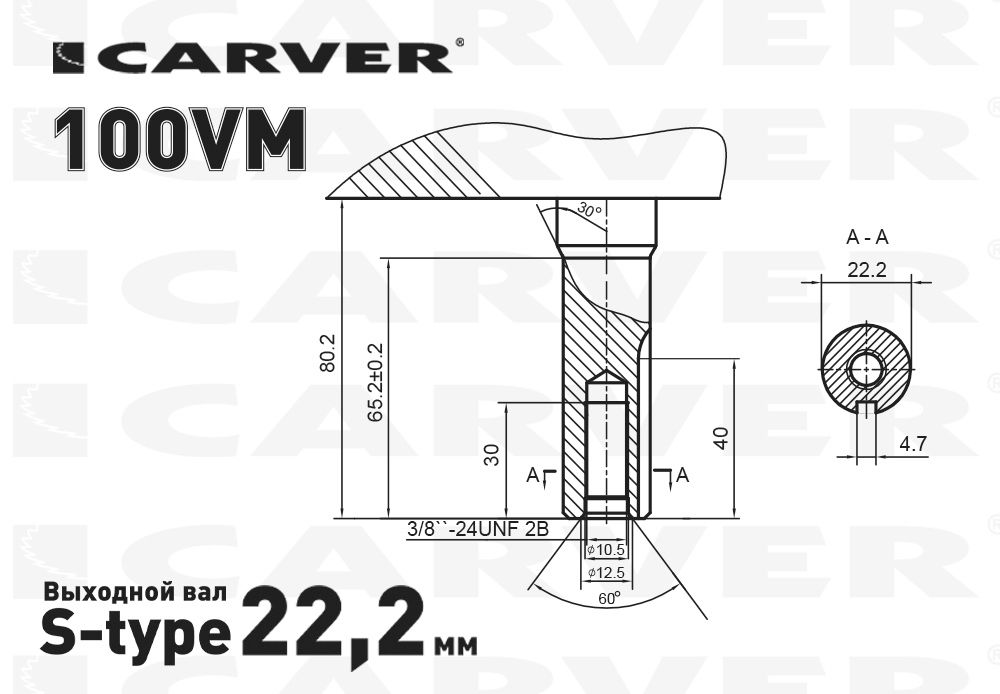 Двигатель  CARVER  100VМ (2,7 л.с.верт. вал d=22, V99 см3, для газонокосилки)