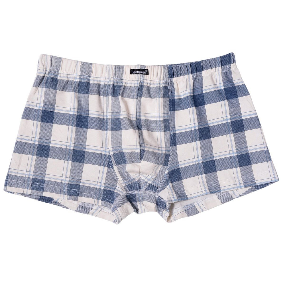 Мужские хлопковые трусы-боксеры (Размер: M) (Цвет: синий)