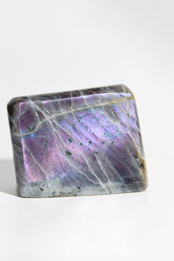 Срез Лабрадора L