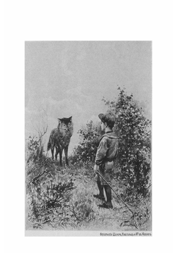 Волчья дубрава | Сливицкий Алексей Михайлович