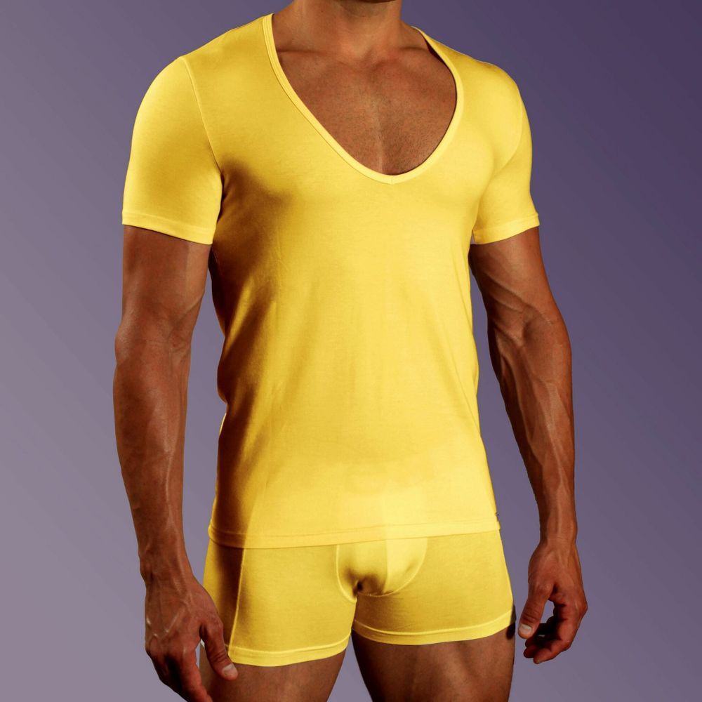 Мужская футболка желтая с принтом Scandaloso Белка 060123m-EP