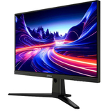 Монитор 24,5" Dahua DHI-LM25-E231B