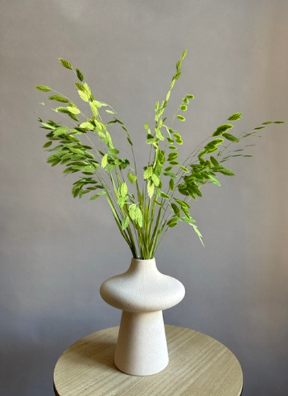 Хасмантиум травяной