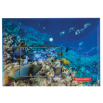 Папка-конверт с кнопкой BRAUBERG "SEA WORLD" А4 160 мкм до 100 листов цветная печать (12 штук в упаковке)