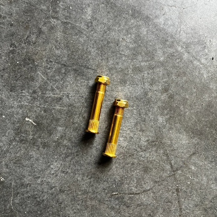 Болты 55 круглая шляпка 2 шт золотые