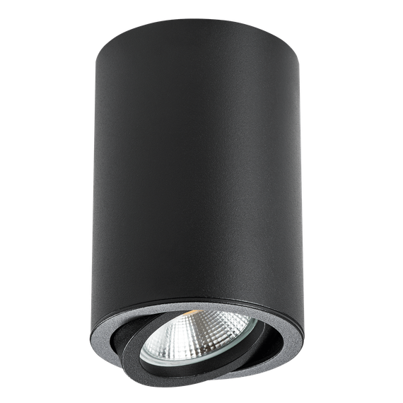 Потолочный светильник Lightstar Rullo 214407