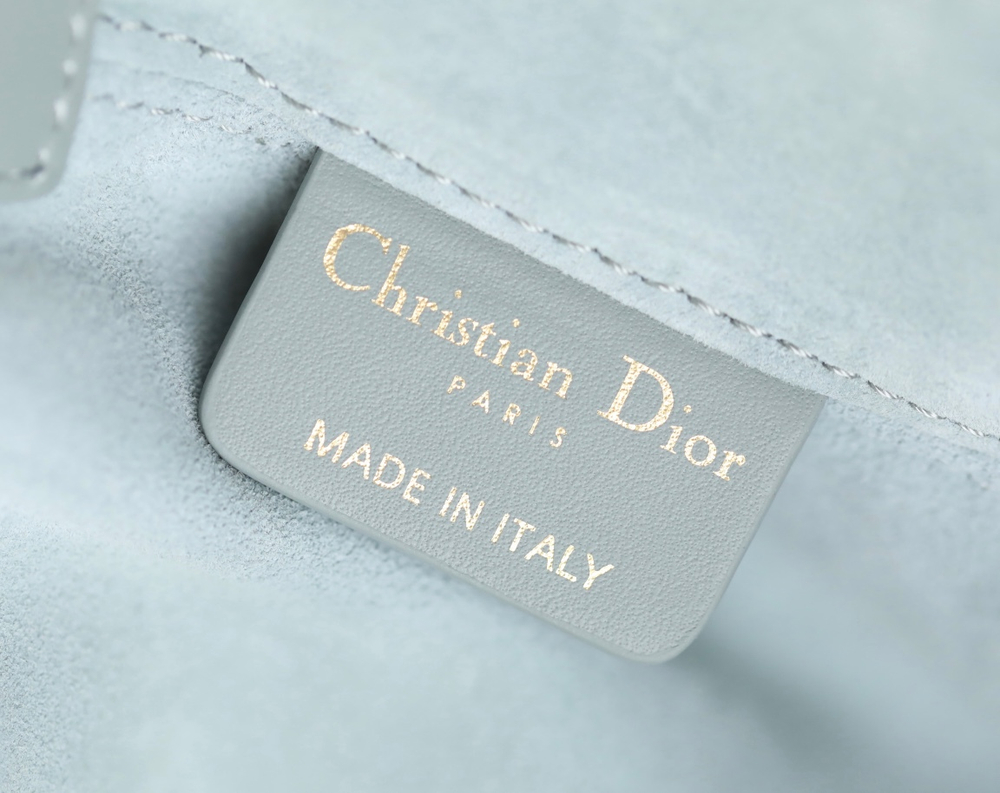 Christian Dior Medium Toujours Bag 28 cm