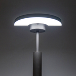 Citilux GARDA CLU03B1 LED Уличный парковый светильник поворотный Графит