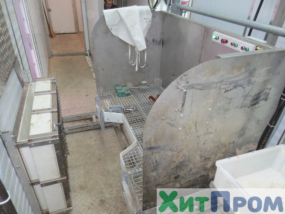 Линия убоя КРС 40 голов/смена с охлаждением и шоковой заморозкой. р. Казахстан