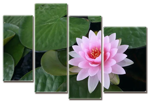 Модульная картина "Розовый лотос"