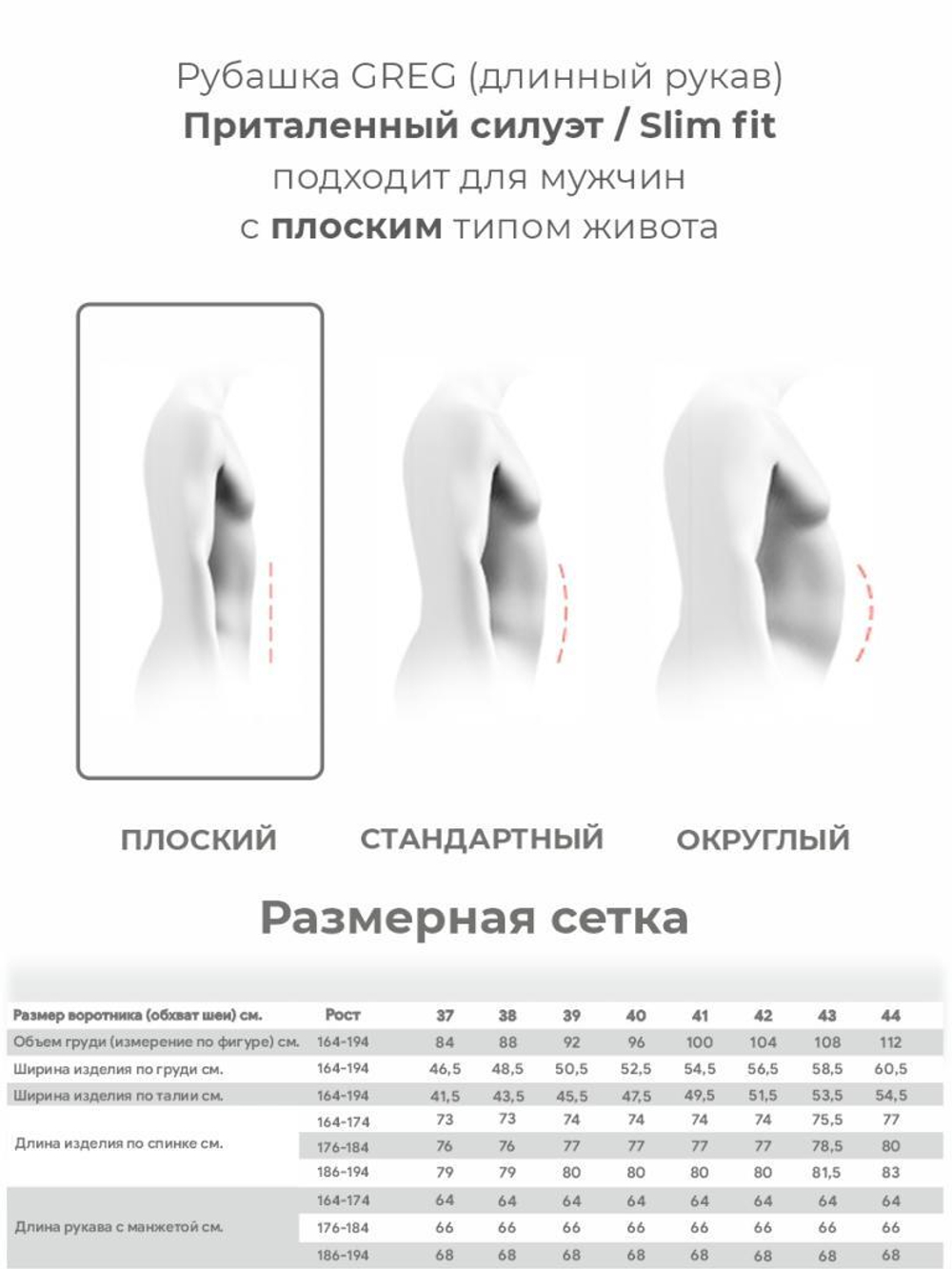 Сорочка GREG (Германия) 510/199/ALT/ZV_V "База"