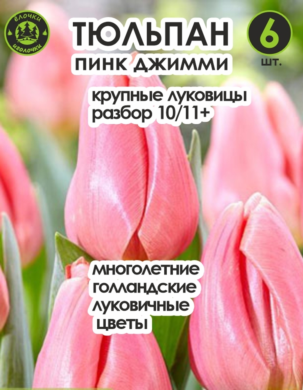Тюльпан Луковица, Пинк Джимми, 6 шт, разбор 12+