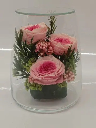 натуральные кустовые пионы в стекле, вакуум*