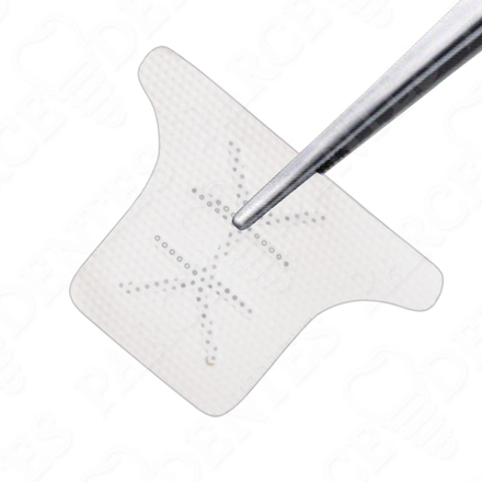 PTFE мембрана 30х41