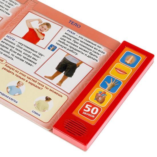 Говорящая энциклопедия Тело человека (5 кн. 50 звуков) 200х175мм 10стр Умка