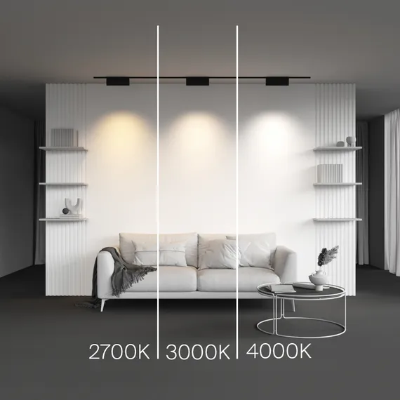 Трековый светильник Точки поворотный / Points Rot Levity 4000К 12Вт 30° Technical tr194-1-12w4k-m-b