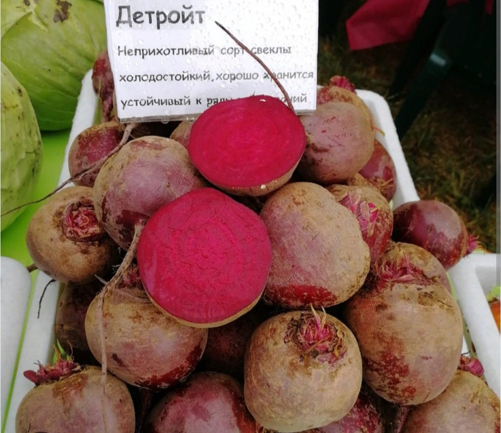 Свекла столовая Детройт - Detroit 1кг