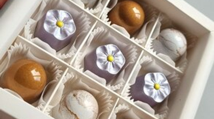 25 | Форма для шоколадных конфет (275*175 мм)