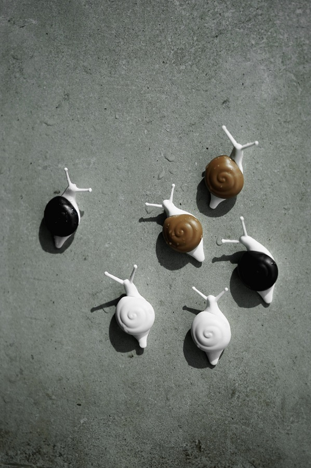 Набор магнитов snail, 6 шт.