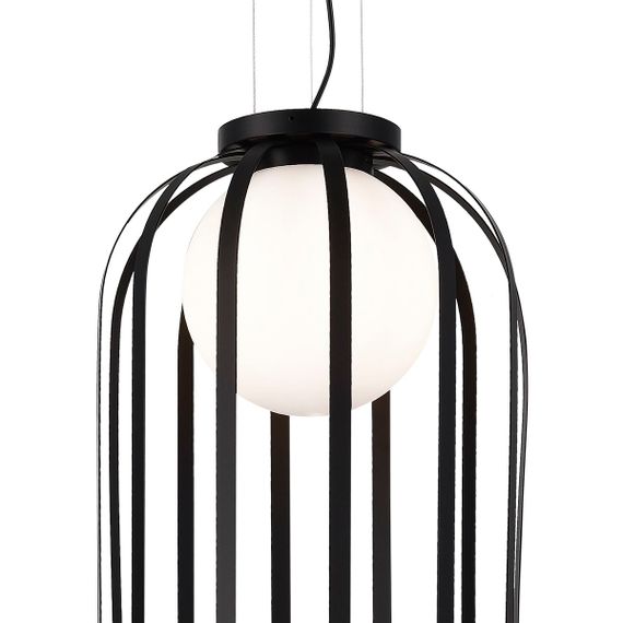 Подвесной светильник ST Luce Nordic SL6129.403.01