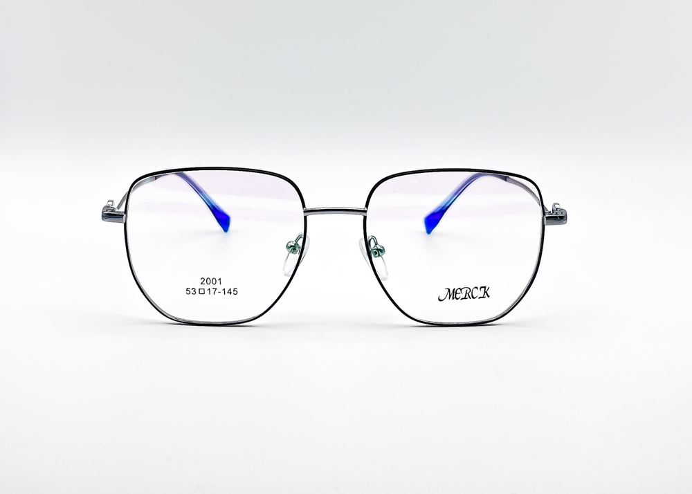 Изг. оправы Merck 2001 C3