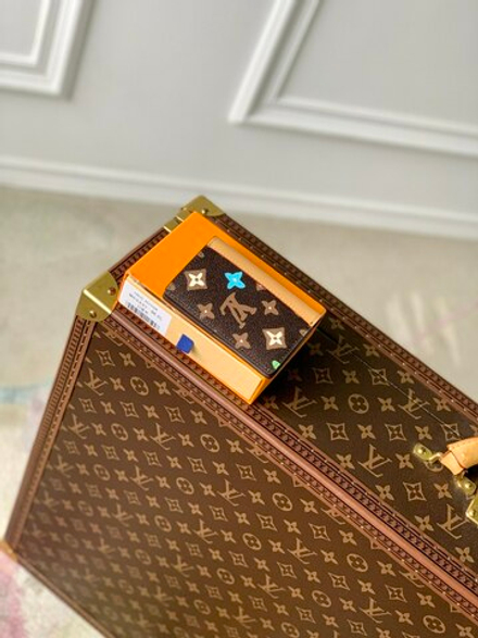 Louis Vuitton Pocket Organizer