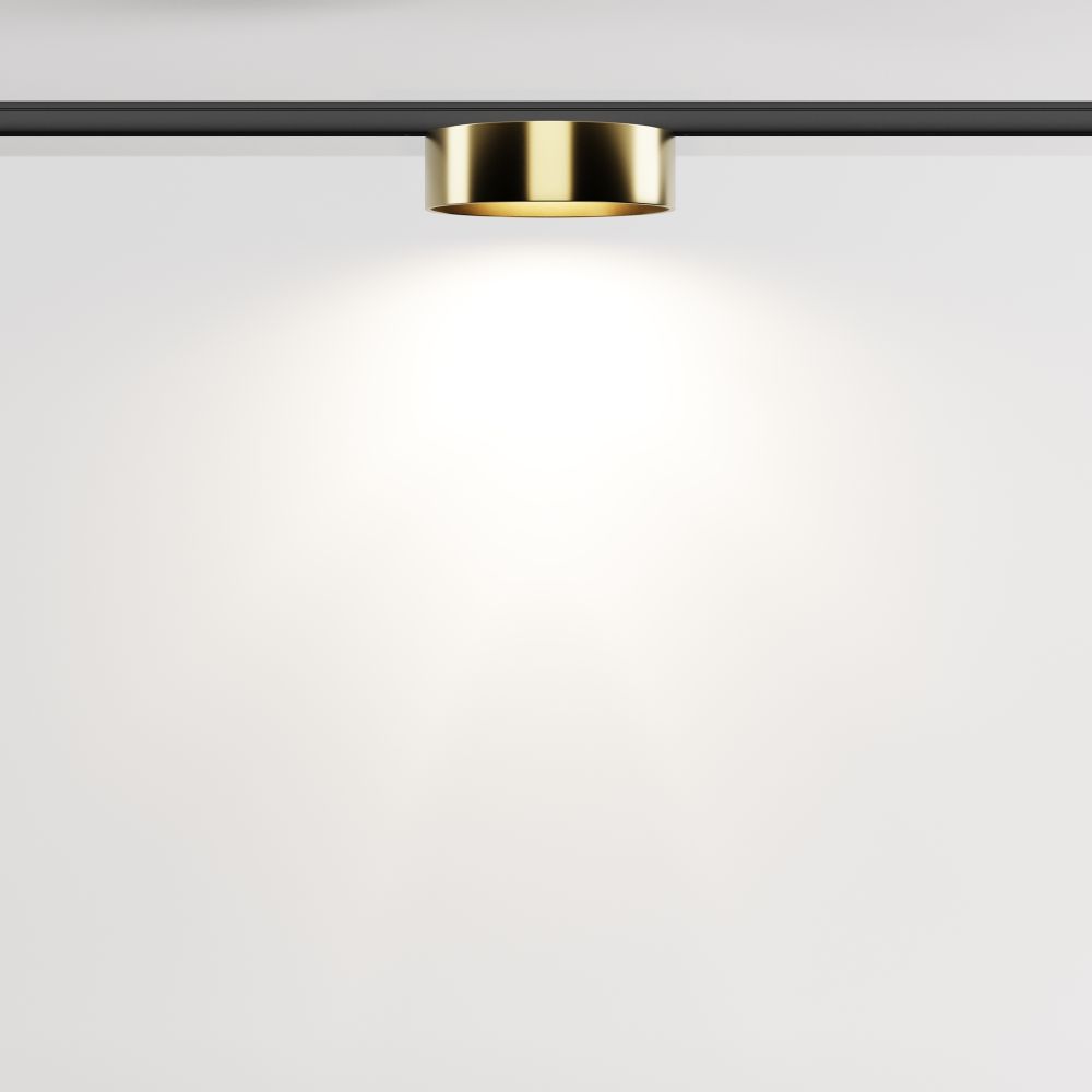 Трековый магнитный светодиодный светильник Maytoni Levity Zon TR189-1-12W4K-BBS