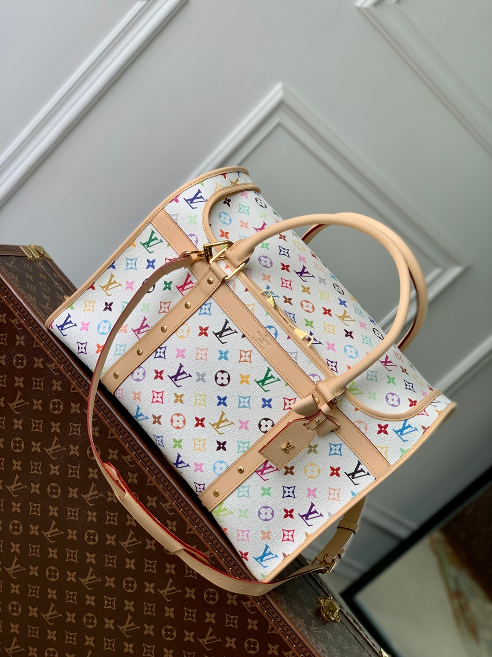 Louis Vuitton Dog Bag