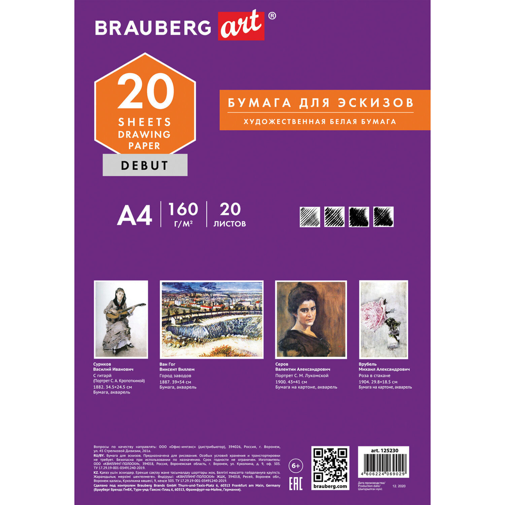 Папка для рисования А4 20 л. 160 г/м2 BRAUBERG 210х297 мм "Орел" (10 штук в упаковке)