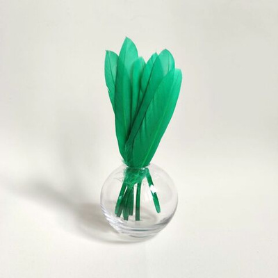 Перья утки зеленые 15 шт.