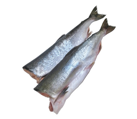 Горбуша потрошеная без головы Камчатка