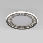 Потолочный светильник Eurosvet PARAFE 40023/1 LED 4690389212833