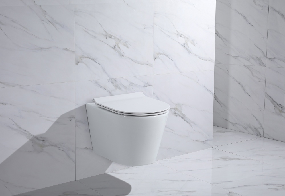 Унитаз подвесной, круглый (БЕЛЫЙ)  GANZER