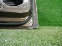 Дверь передняя левая VW Tiguan 2 (2016-н.в.)