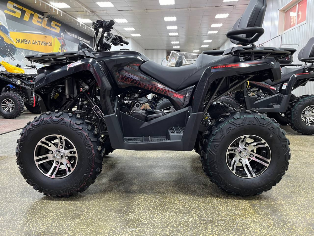 Квадроцикл PROMAX RENEGADE 300 LONG WINCH PRO (2025)