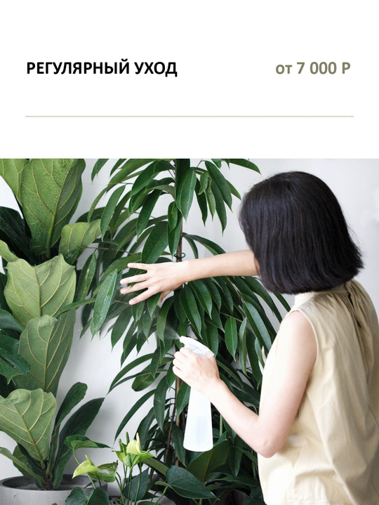 "РЕГУЛЯРНЫЙ УХОД"