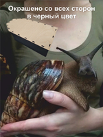 Гроб для животных