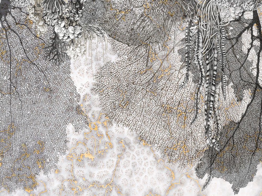 Коллекция WAVES