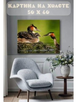 Картина на стену 40 X 50 Водная птица