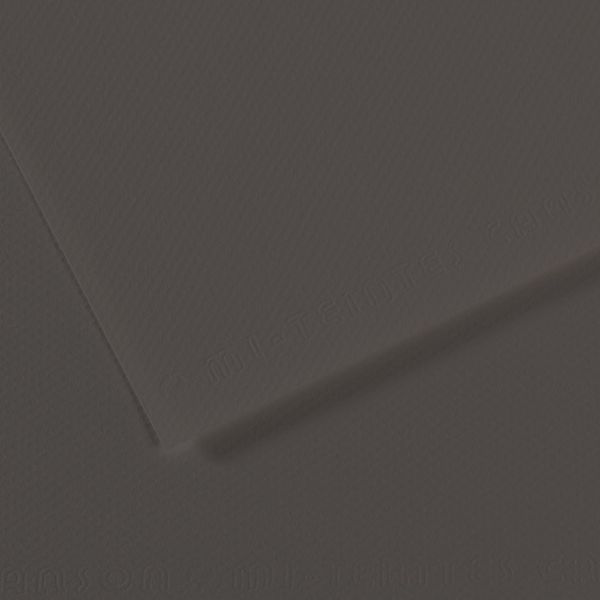 Бумага для пастели Mi-Teintes 160 г/м², 50х65 см, 10 л, №184 Угольный, Canson, C31032S130
