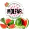 Molfar Virginia Line - Арбузное Зелье (100г)