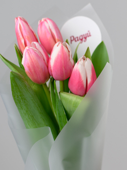 Тюльпаны микс