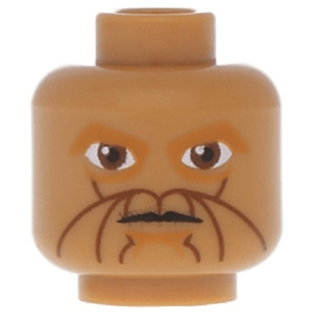 Голова Иит Кот 3626pb0625