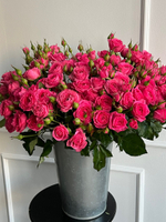 Пионовидная кустовая роза в ярко розовом оттенке