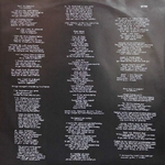 Sinead O'Connor / I Do Not Want What I Haven't Got (LP)