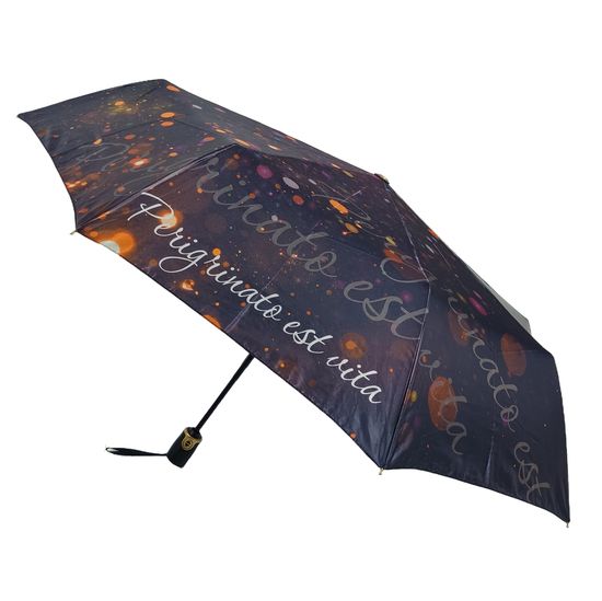 Женский зонт Три Слона - Полный автомат 3852-B-05